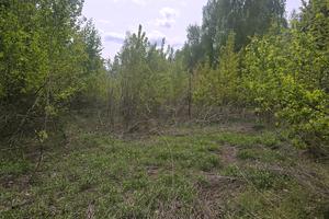 ділянка за адресою Киъвська