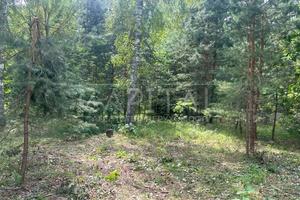 комерційна за адресою Приморська, 3