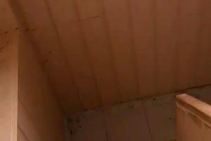 дом по адресу Одесса, 21-й км Старокиївської дороги ул.