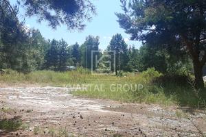 участок по адресу с. Пилиповичи, 