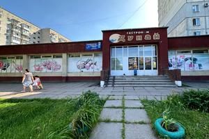 комерційна за адресою Гоголя вул., 520