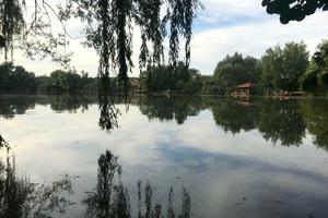 дом по адресу Бучанський