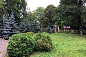 комерційна за адресою Івана Мазепи вул., 1