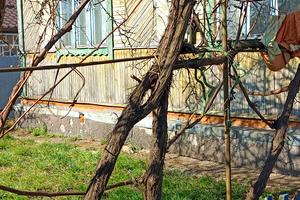 дом по адресу Пашинська