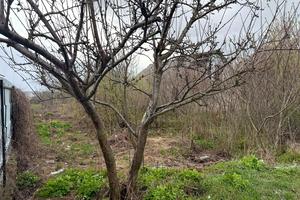 участок по адресу Ворошилова