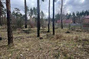 ділянка за адресою провулок Діамантовий, 35