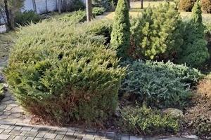 будинок за адресою Садова