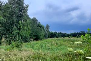 ділянка за адресою с. Абрамівка, 