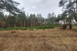 участок по адресу Васильков, 