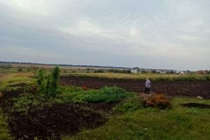 будинок за адресою Шевченка