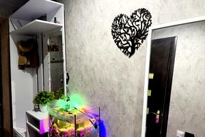 квартира за адресою Гайдамацька вул., 7