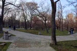 будинок за адресою Парковий пров.