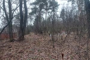 участок по адресу с. Великая Бугаевка, Васильківська