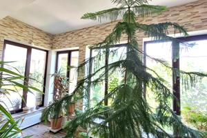 будинок за адресою Сумська вул., 333