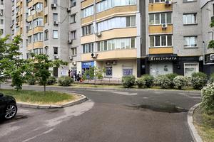 комерційна за адресою Княжий Затон вул., 4