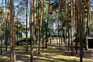 будинок за адресою Жовтнева