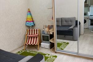 квартира за адресою Старосінна пл., 15