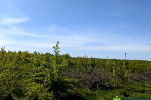 участок по адресу урочище Луги