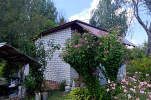будинок за адресою Бузкова, 11