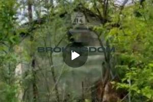 участок по адресу вул.Облепихова