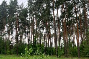 ділянка за адресою Ілони Куровської вул.
