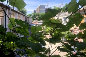 квартира за адресою Богдана Хмельницького вул., 66