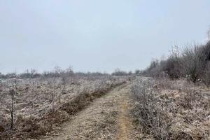 ділянка за адресою урочище Вільхи