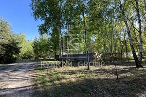 участок по адресу с. Дмитровка, Північна, 1