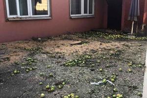 будинок за адресою Радісна вул. (Раскової), 9