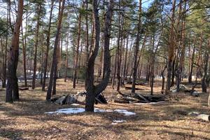 будинок за адресою Нова вул., 77
