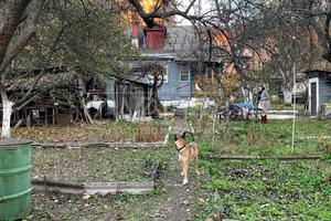 участок по адресу Зверинецкая ул., 66