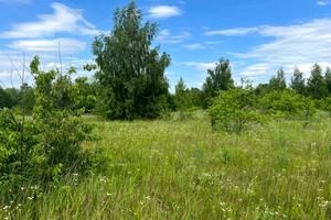 участок по адресу с. Михайловка-Рубежовка, 