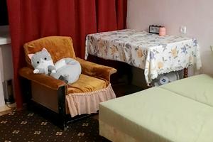 квартира за адресою Зіньківська вул., 11/31