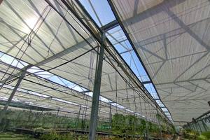 комерційна за адресою Патруса-Карпатського вул., 28