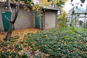 коммерческая по адресу Свободы просп., 1