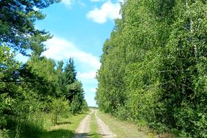 будинок за адресою Михайла Грушевського вул.