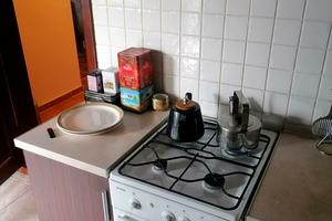 дом по адресу с. Копиевка, шевченка
