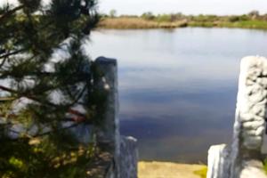 будинок за адресою с. Новоселівка, Теплична вул.