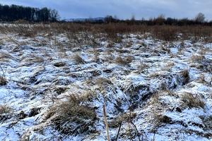 ділянка за адресою старе село