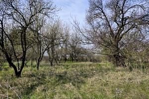 участок по адресу Ізумруд садове товариство, 407
