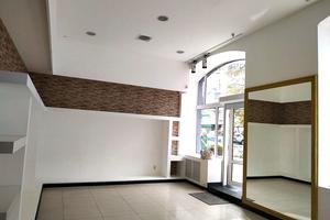 комерційна за адресою Шота Руставелі вул., 36