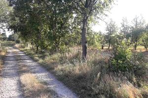 ділянка за адресою с. Лука-Мелешківська, Привокзальна