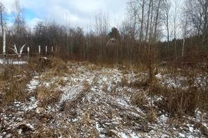 участок по адресу с. Загальцы, 