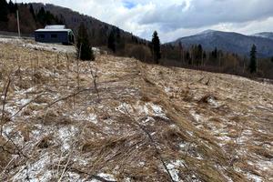 участок по адресу Горская ул., 15