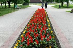 квартира за адресою Садовий проїзд, 24а