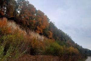 квартира за адресою Зелена вул., 86