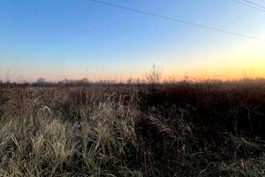 ділянка за адресою Ризька