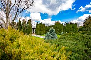 комерційна за адресою Бориспільський, 1