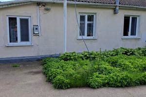 будинок за адресою с. Ганжалівка, Садова, 11