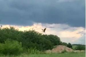 участок по адресу с. Веремье, Луки Дубового